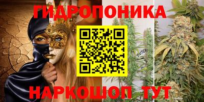 дурь Будённовск