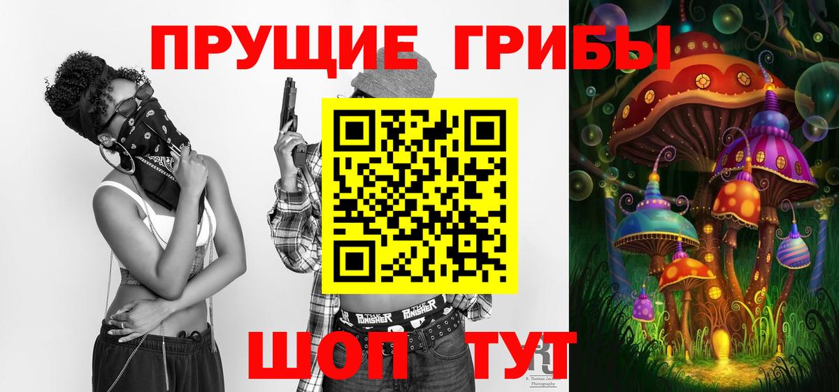Похвистнево  Псилоцибиновые грибы Psilocybe  Вход с VPN 